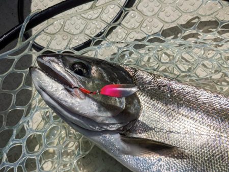 レイクトロ－リング＝ビワマス釣り！